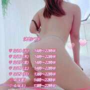 ヒメ日記 2026/03/23 16:45 投稿 夏木 のあ SUMIRE