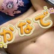 ヒメ日記 2025/05/29 10:52 投稿 かなで PLATINA