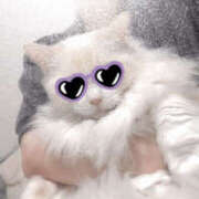 ヒメ日記 2025/06/23 23:35 投稿 みき 梅田人妻秘密倶楽部