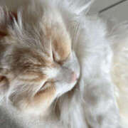 ヒメ日記 2025/07/29 00:50 投稿 みき 梅田人妻秘密倶楽部