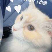 ヒメ日記 2025/10/17 11:40 投稿 みき 梅田人妻秘密倶楽部