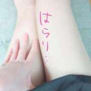 ヒメ日記 2025/02/08 13:09 投稿 ハク 大牟田デリヘル倶楽部