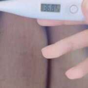 ヒメ日記 2025/02/13 17:06 投稿 ハク 大牟田デリヘル倶楽部