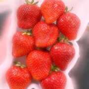 ヒメ日記 2025/04/11 00:34 投稿 なのか 桃李（とうり）