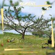 ヒメ日記 2025/04/28 12:28 投稿 とあ 甲府人妻城