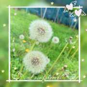 ヒメ日記 2025/06/02 07:01 投稿 とあ 甲府人妻城