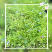 ヒメ日記 2025/06/06 15:24 投稿 とあ 甲府人妻城