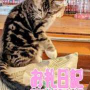 ヒメ日記 2025/01/17 20:10 投稿 せいこ ママ友倶楽部