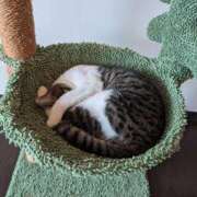 ヒメ日記 2025/01/17 20:03 投稿 せいこ ママ友倶楽部