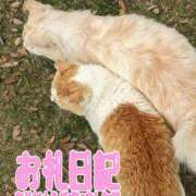 ヒメ日記 2025/01/17 22:53 投稿 せいこ ママ友倶楽部