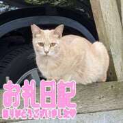 ヒメ日記 2025/01/24 22:42 投稿 せいこ ママ友倶楽部