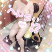 ヒメ日記 2025/05/31 15:58 投稿 せいこ ママ友倶楽部