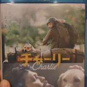 ヒメ日記 2025/02/24 21:26 投稿 うめこ 熟女家 十三店