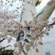 ヒメ日記 2025/03/19 07:45 投稿 うめこ 熟女家 十三店