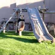 ヒメ日記 2025/04/25 17:44 投稿 うめこ 熟女家 十三店