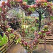 ヒメ日記 2025/05/10 16:37 投稿 うめこ 熟女家 十三店