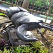 ヒメ日記 2025/05/17 23:17 投稿 うめこ 熟女家 十三店