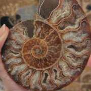 ヒメ日記 2025/07/19 19:42 投稿 うめこ 熟女家 十三店