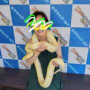 ヒメ日記 2025/08/07 20:11 投稿 うめこ 熟女家 十三店