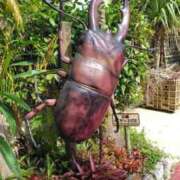 ヒメ日記 2025/08/21 12:06 投稿 うめこ 熟女家 十三店