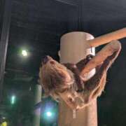 ヒメ日記 2025/10/12 12:09 投稿 うめこ 熟女家 十三店