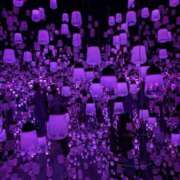 ヒメ日記 2025/11/08 11:53 投稿 うめこ 熟女家 十三店