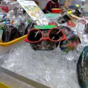 ヒメ日記 2025/11/16 18:49 投稿 うめこ 熟女家 十三店