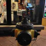 ヒメ日記 2026/01/19 22:47 投稿 うめこ 熟女家 十三店