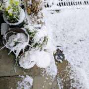 ヒメ日記 2026/02/08 12:13 投稿 うめこ 熟女家 十三店