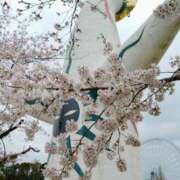 ヒメ日記 2026/04/04 22:07 投稿 うめこ 熟女家 十三店