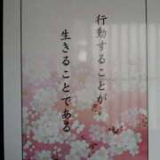 ヒメ日記 2026/08/30 15:35 投稿 うめこ 熟女家 十三店