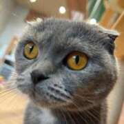 ヒメ日記 2025/09/28 14:08 投稿 あやめ RIZE（リゼ）