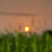 ヒメ日記 2025/10/05 03:48 投稿 あやめ RIZE（リゼ）