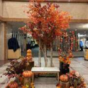 ヒメ日記 2025/10/06 14:18 投稿 あやめ RIZE（リゼ）