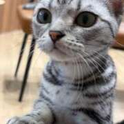 ヒメ日記 2025/10/06 15:28 投稿 あやめ RIZE（リゼ）