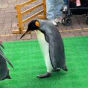 ヒメ日記 2025/10/13 15:42 投稿 あやめ RIZE（リゼ）