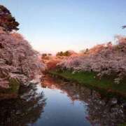 ヒメ日記 2025/10/18 17:15 投稿 あやめ RIZE（リゼ）