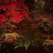 ヒメ日記 2025/10/21 18:18 投稿 あやめ RIZE（リゼ）