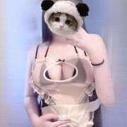 ヒメ日記 2025/02/28 02:01 投稿 ゆず Tokyo fairy land-東京フェアリーランド-