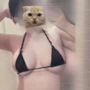 ヒメ日記 2025/04/04 04:21 投稿 ゆず Tokyo fairy land-東京フェアリーランド-