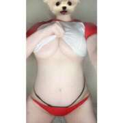 ヒメ日記 2025/05/19 15:36 投稿 ゆず Tokyo fairy land-東京フェアリーランド-