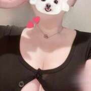 ヒメ日記 2025/05/29 06:02 投稿 ゆず Tokyo fairy land-東京フェアリーランド-