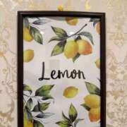 ヒメ日記 2025/05/19 07:42 投稿 れもん Evolution 2nd