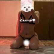 ヒメ日記 2026/02/03 11:05 投稿 かんな Limited SPA(リミテッドスパ)