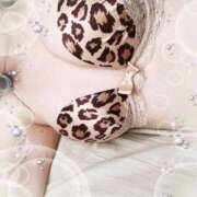 ヒメ日記 2025/03/04 20:20 投稿 愛香（あいか） セレブコレクション赤坂