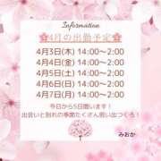 ヒメ日記 2025/04/04 02:30 投稿 みおか 浜松ハンパじゃない学園