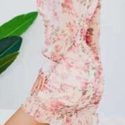 ヒメ日記 2025/04/07 15:41 投稿 桃華（ももか） セレブコレクション赤坂