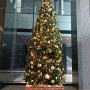 るりこ 出勤日です✨️ セレブコレクション赤坂