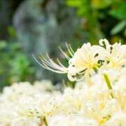 ヒメ日記 2025/09/09 21:33 投稿 あこ セレブコレクション赤坂