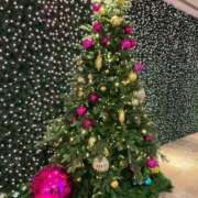 ヒメ日記 2025/12/02 18:32 投稿 あこ セレブコレクション赤坂